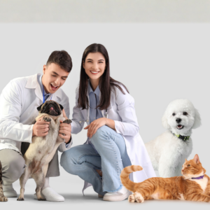 Curso Online de Dirección de Centros Veterinarios
