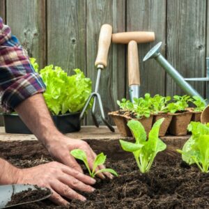 Curso Online de Jardinería: Diseño, Creación Y Mantenimiento De Jardines