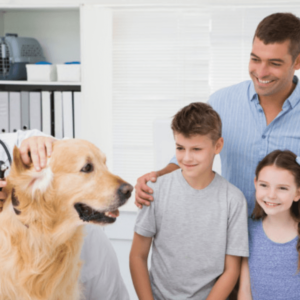 Curso Online de Dirección de Centros Veterinarios