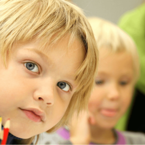 Postgrado Online de Monitor Escolar