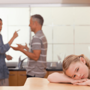 Postgrado Online en Solución de Conflictos: Mediación Civil y Mercantil y Mediación Familiar